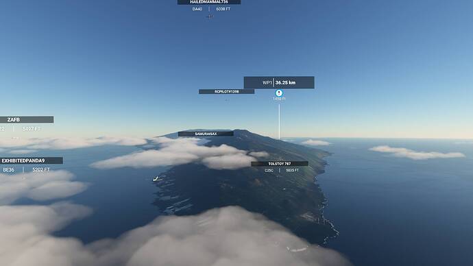 Microsoft Flight Simulator 03.04.2021 20_36_02_Bildgröße ändern