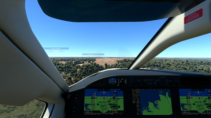 Microsoft Flight Simulator 28_08_2020 10_47_19 PM