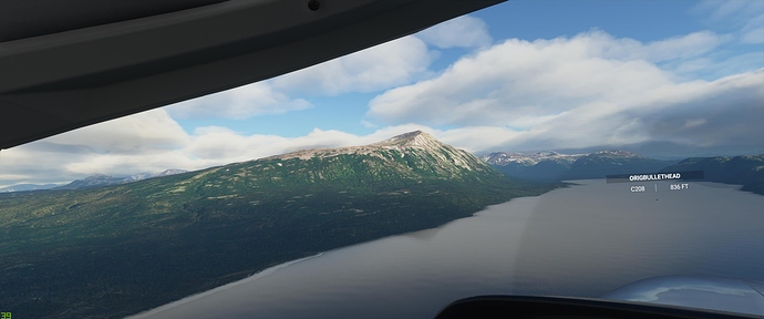 Microsoft Flight Simulator 10_24_2020 5_09_49 PM