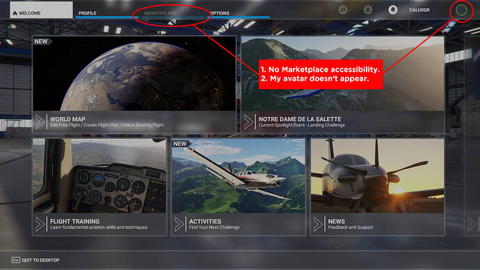 msfs2020_online_issues_001
