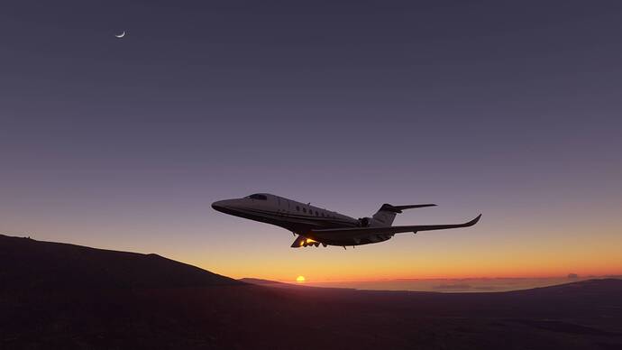 Microsoft Flight Simulator 11_17_2020 9_43_51 PM