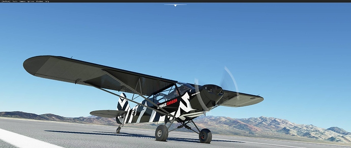 Microsoft Flight Simulator Screenshot 2020.11.04 - 20.48.28.84