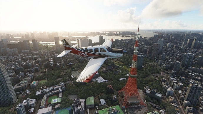 Microsoft Flight Simulator