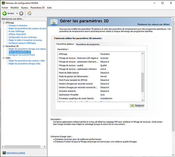 Nvidia_control panel 2