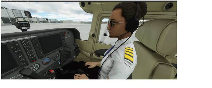 co-pilot