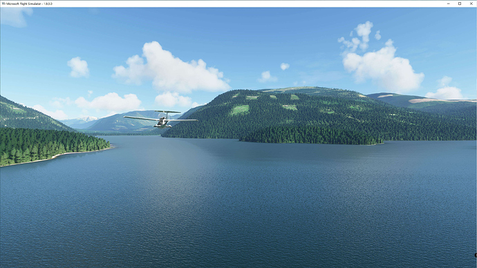 FS2020 2020-10-10 057