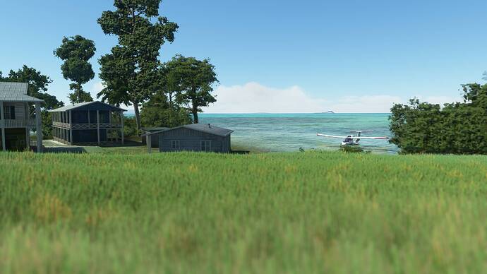 Screen Shot 03-27-21 at 10.57 PM