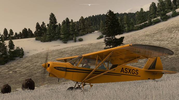 Microsoft Flight Simulator Screenshot 2020.11.14 - 01.26.27.22