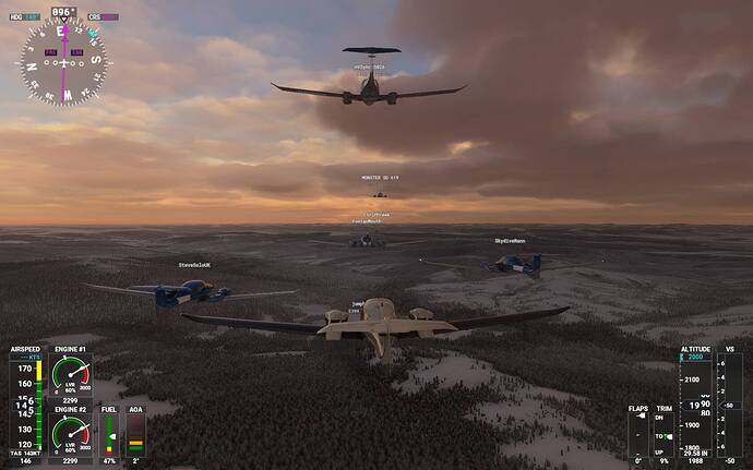Microsoft Flight Simulator 14_02_2021 21_17_23