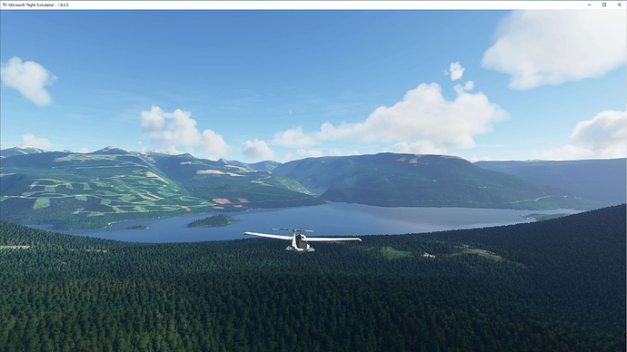 FS2020 2020-10-10 053