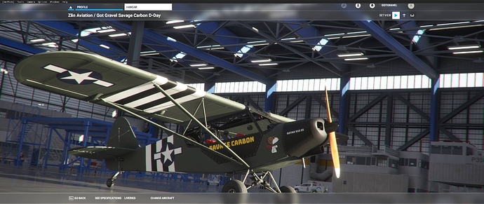 Microsoft Flight Simulator Screenshot 2020.11.08 - 20.04.12.72