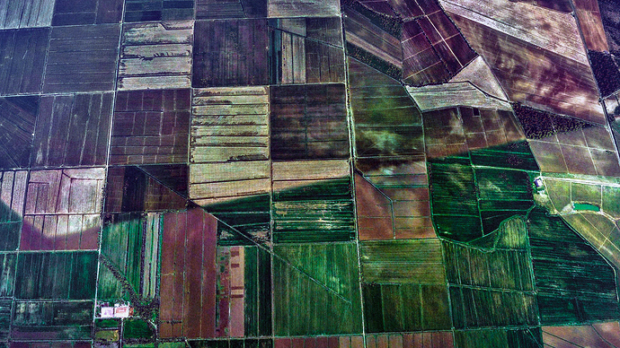 20200824184328_1