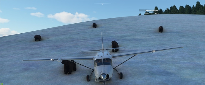 Microsoft Flight Simulator 10_24_2020 5_04_46 PM