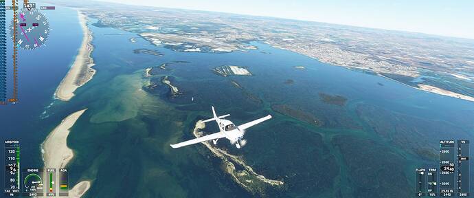 Microsoft Flight Simulator 12_9_2020 12_54_36 PM