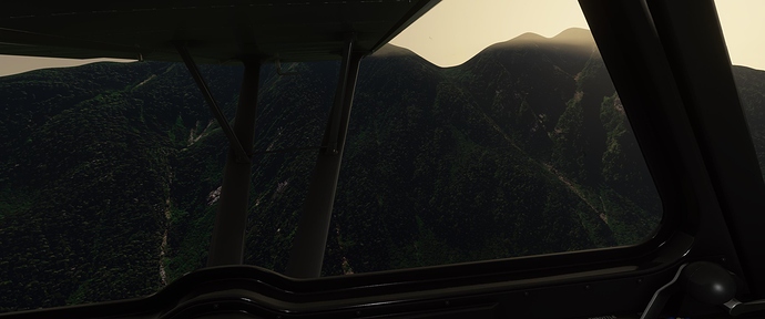 Microsoft Flight Simulator 11_8_2020 3_19_24 PM