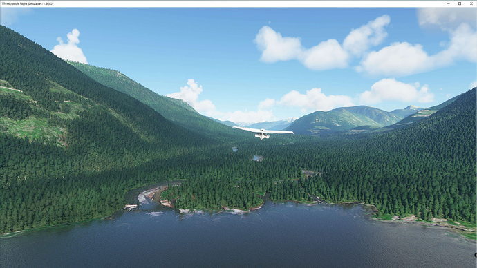 FS2020 2020-10-10 062