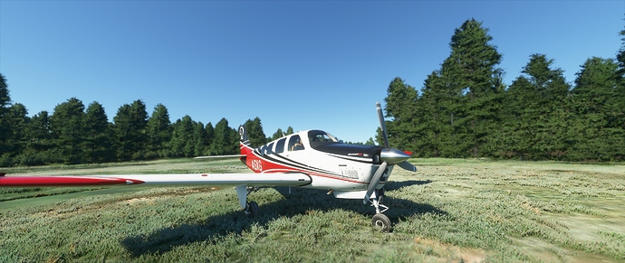 Microsoft_Flight_Simulator_-_1.7.12.04b