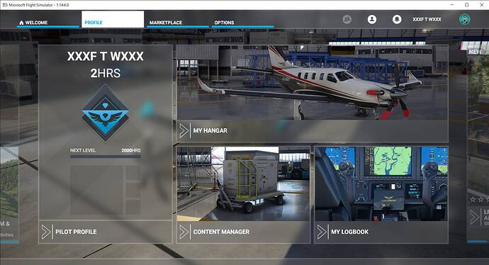 Microsoft Flight Simulator 4_3_2021 1_48_23 AM
