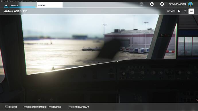 Microsoft Flight Simulator 12_01_2021 16_16_04