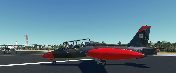 Microsoft Flight Simulator Screenshot 2020.10.18 - 12.39.20.49