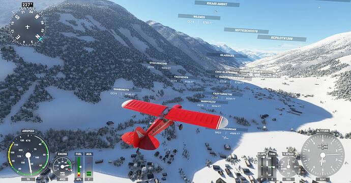 Microsoft Flight Simulator Screenshot 2021.01.08 - 20.29.45.29
