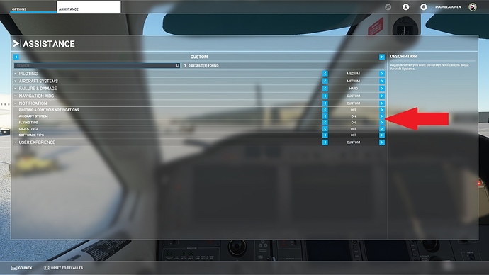 FlightSimulator_Z7L8hIw5jI
