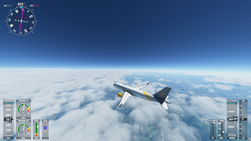 Microsoft Flight Simulator 25.08.2020 12_58_24