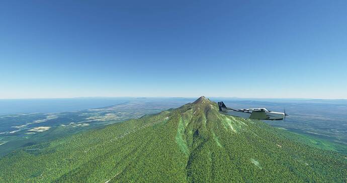 Microsoft Flight Simulator 4_23_2021 9_54_06 AM