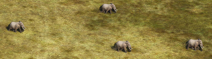 ELEPHANTS