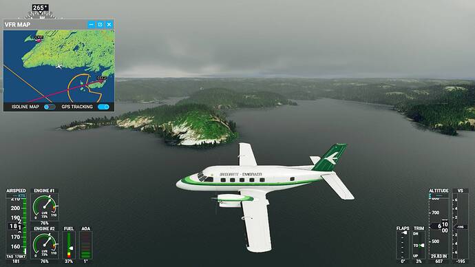 Microsoft Flight Simulator 4_21_2021 5_41_52 AM