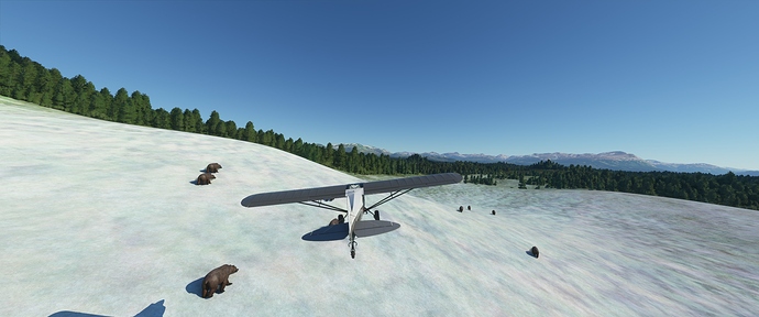 MSFS_Bears