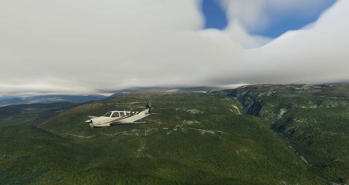 Microsoft Flight Simulator 4_21_2021 8_44_39 AM