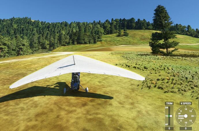 LandingNearLS60