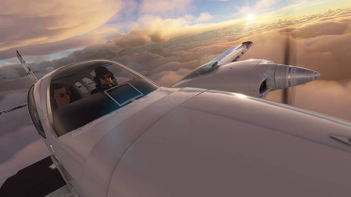 Microsoft Flight Simulator Screenshot 2021.01.17 - 15.50.51.06