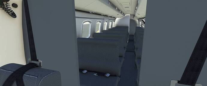 FlightSimulator_2021_04_18_12_34_35_530