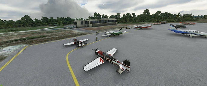 Microsoft Flight Simulator 9_7_2020 7_34_42 PM