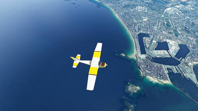 Microsoft Flight Simulator 2021-05-03 10_13_48