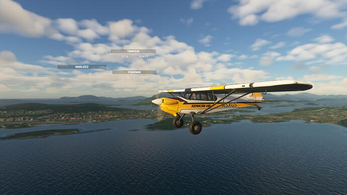 Microsoft Flight Simulator Screenshot 2021.03.19 - 23.37.45.04