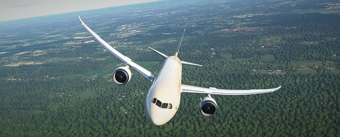 Microsoft Flight Simulator 2020-11-03 2_50_18 PM