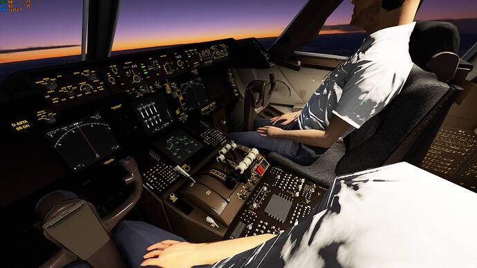 Microsoft Flight Simulator Screenshot 2020.12.29 - 22.18.32.41