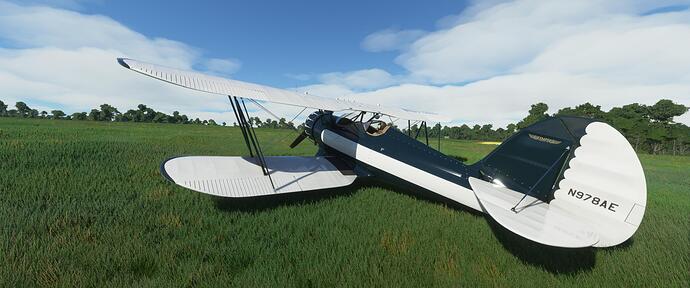 Microsoft Flight Simulator 1_18_2021 10_07_33 PM