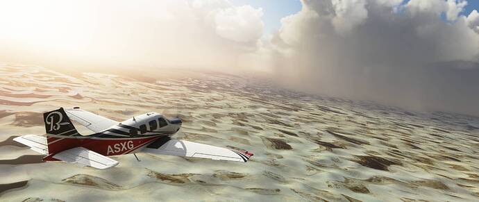 Microsoft Flight Simulator - 3