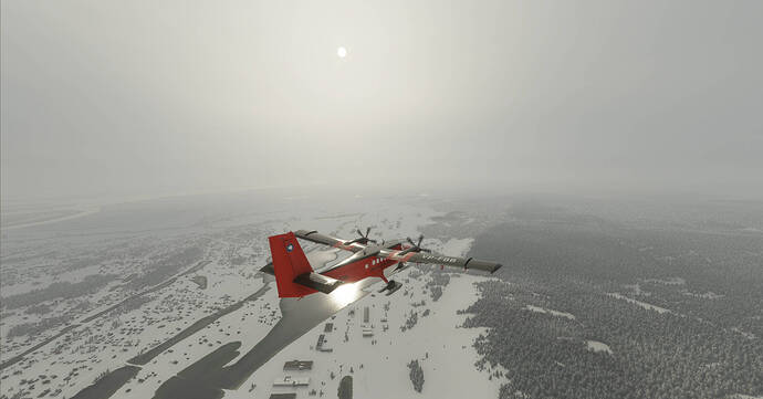 Microsoft Flight Simulator Twin Otter (11)