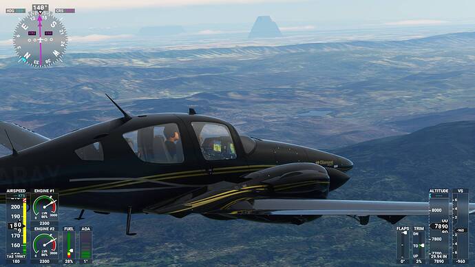 Microsoft Flight Simulator 08_02_2021 20_38_09