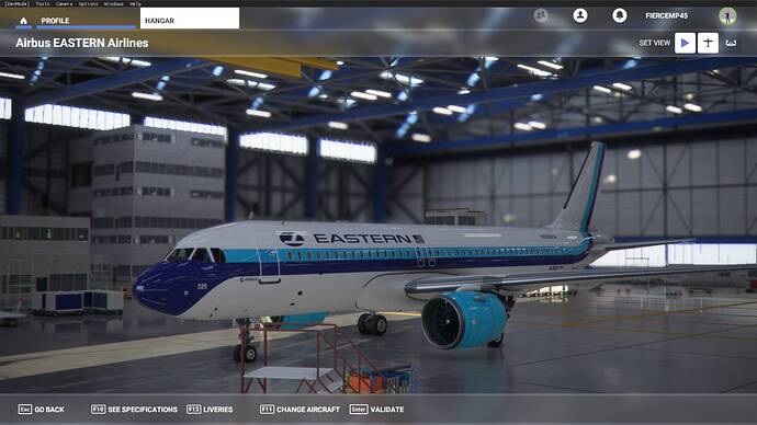 Microsoft Flight Simulator Screenshot 2021.01.03 - 23.17.58.03