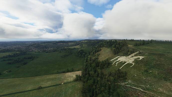 Microsoft Flight Simulator Screenshot 2021.02.21 - 13.19.21.80