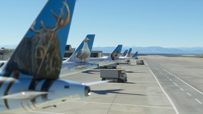 20201003140532_1