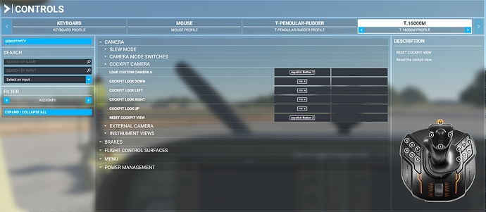 Controls - Hat Switch Bindings