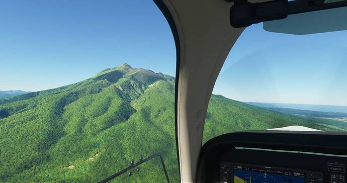 Microsoft Flight Simulator 4_23_2021 9_46_44 AM