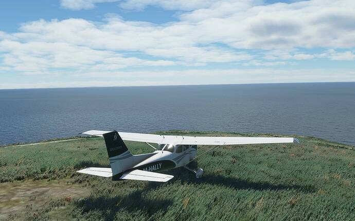 Microsoft Flight Simulator Screenshot 2021.04.24 - 01.56.21.76